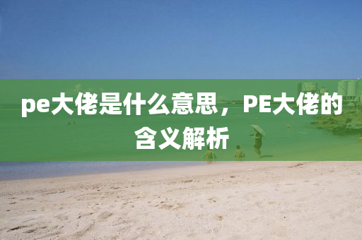 pe大佬是什么意思,PE大佬的含义解析中山市多米克自动化设备有限公司