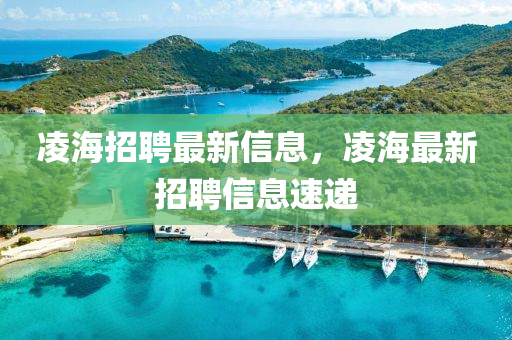 凌海招聘最新信息,凌海最新招聘信息速递中山市多米克自动化设备有限公司