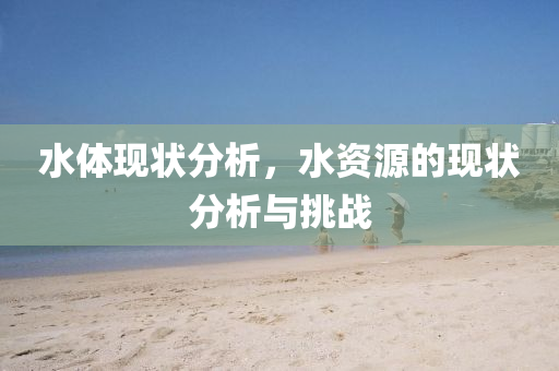 水体现状分析,水中山市多米克自动化设备有限公司资源的现状分析与挑战
