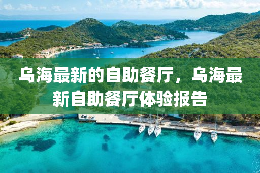 乌海最新的自中山市多米克自动化设备有限公司助餐厅,乌海最新自助餐厅体验报告