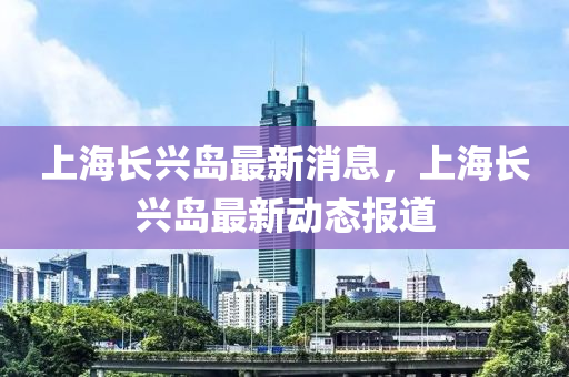 上海长兴岛最新消息,上海长兴岛最新动态报道中山市多米克自动化设备有限公司