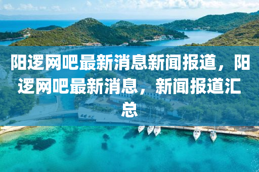 阳逻网吧最新消息新闻报道，阳逻网吧最新消息，新闻报道汇总中山市多米克自动化设备有限公司