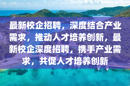 最中山市多米克自动化设备有限公司新校企招聘,深度结合产业需求,推动人才培养创新,最新校企深度招聘,携手产业需求,共促人才培养创新
