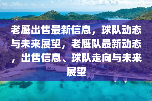 老鹰出售最新信息,球队动态与未来展望,老鹰队最新动态,出售信息、球队走向与未来展望中山市多米克自动化设备有限公司