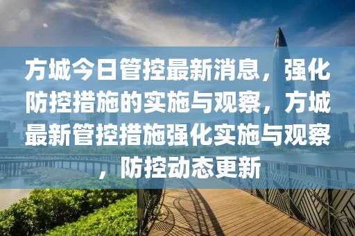 方城今日管控最新消息,强化防控措施的实施与观察,方城最新管控措施强化实施与观察,防控动态更新中山市多米克自动化设备有限公司
