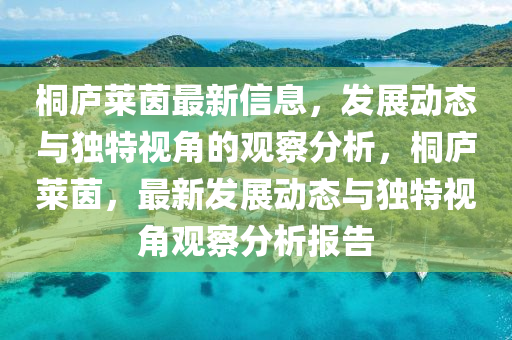 桐庐莱茵最新信息,发展动态与独特视角的观察分析,桐庐莱茵,最新发展动态与独特视角观察分析报告