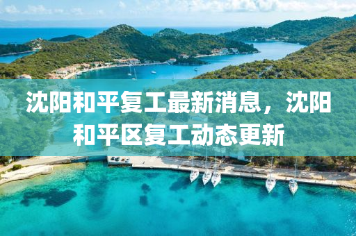 沈阳和平复工最新消息,沈阳和平区复工动态更新