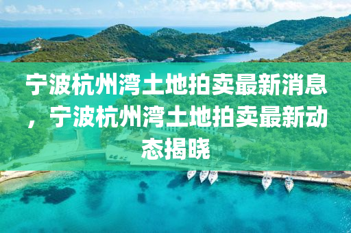 宁波杭州湾土地拍卖最新消息,宁波杭州湾土地拍卖最新动态揭晓